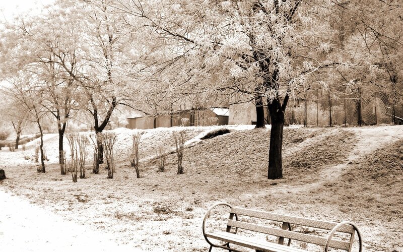 Snowy park bench scene