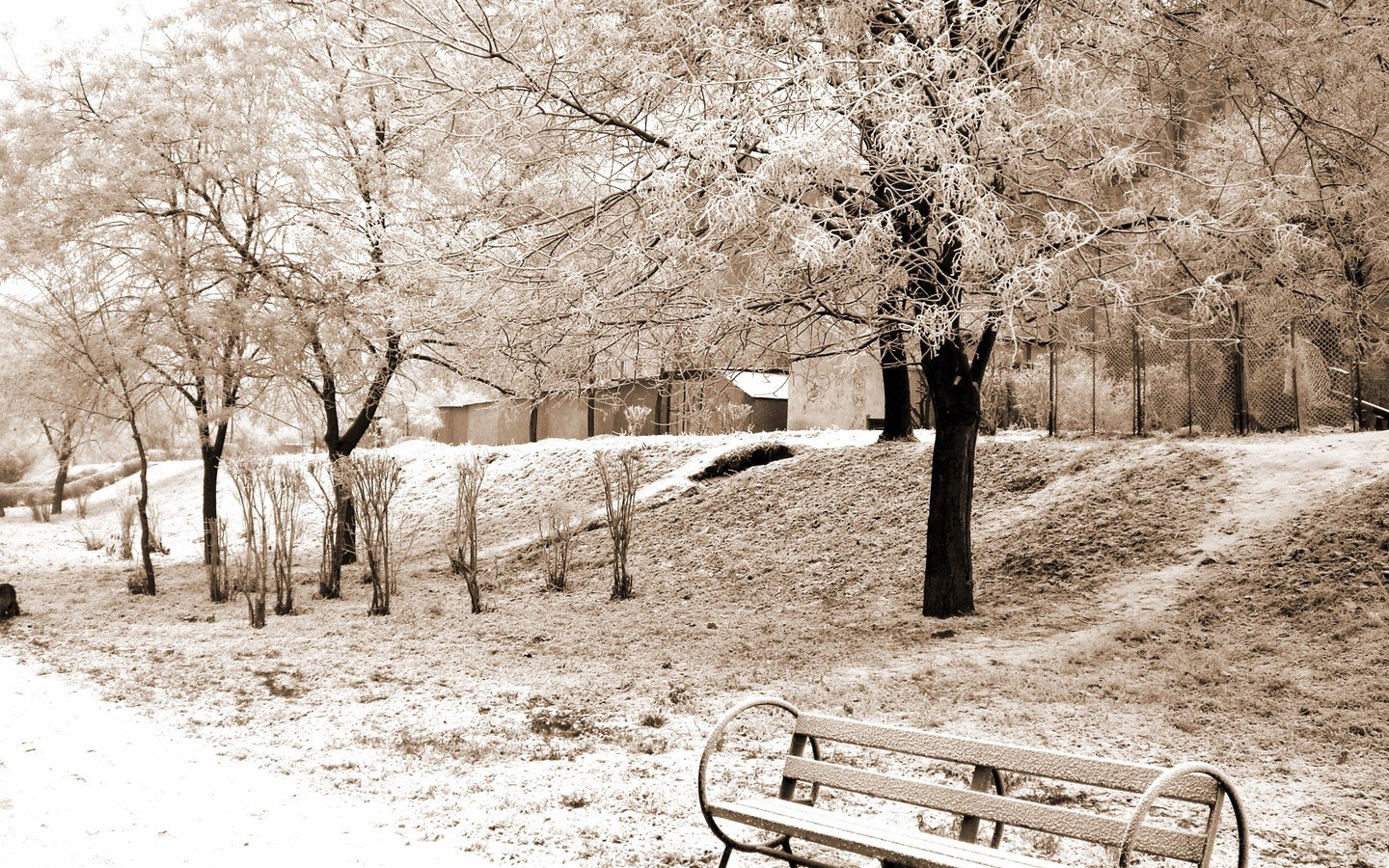 Snowy park bench scene
