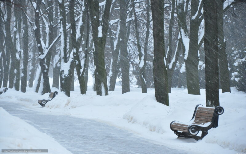 Snowy park bench scene