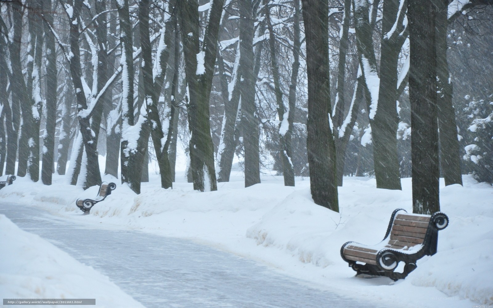 Snowy park bench scene