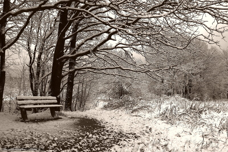 Snowy park bench