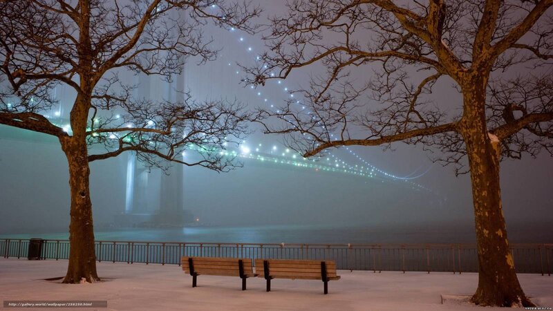 Snowy Park Bench — White, Serene