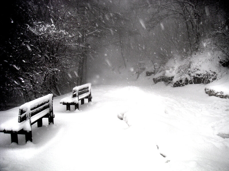 Snowy park benches