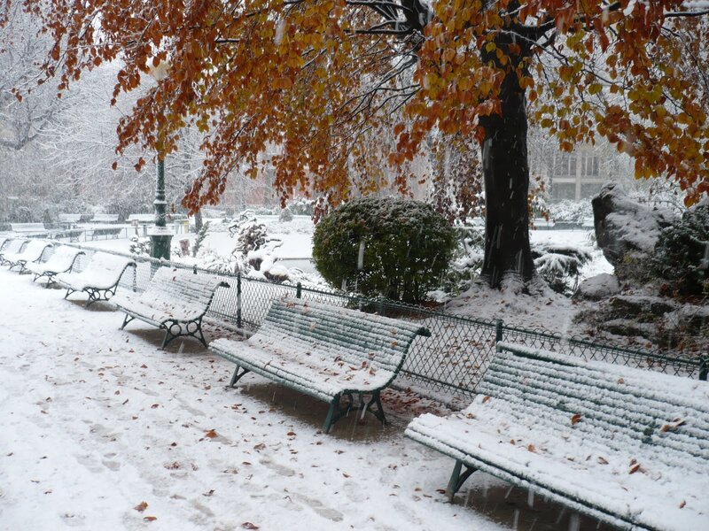 Snowy park benches in autumn