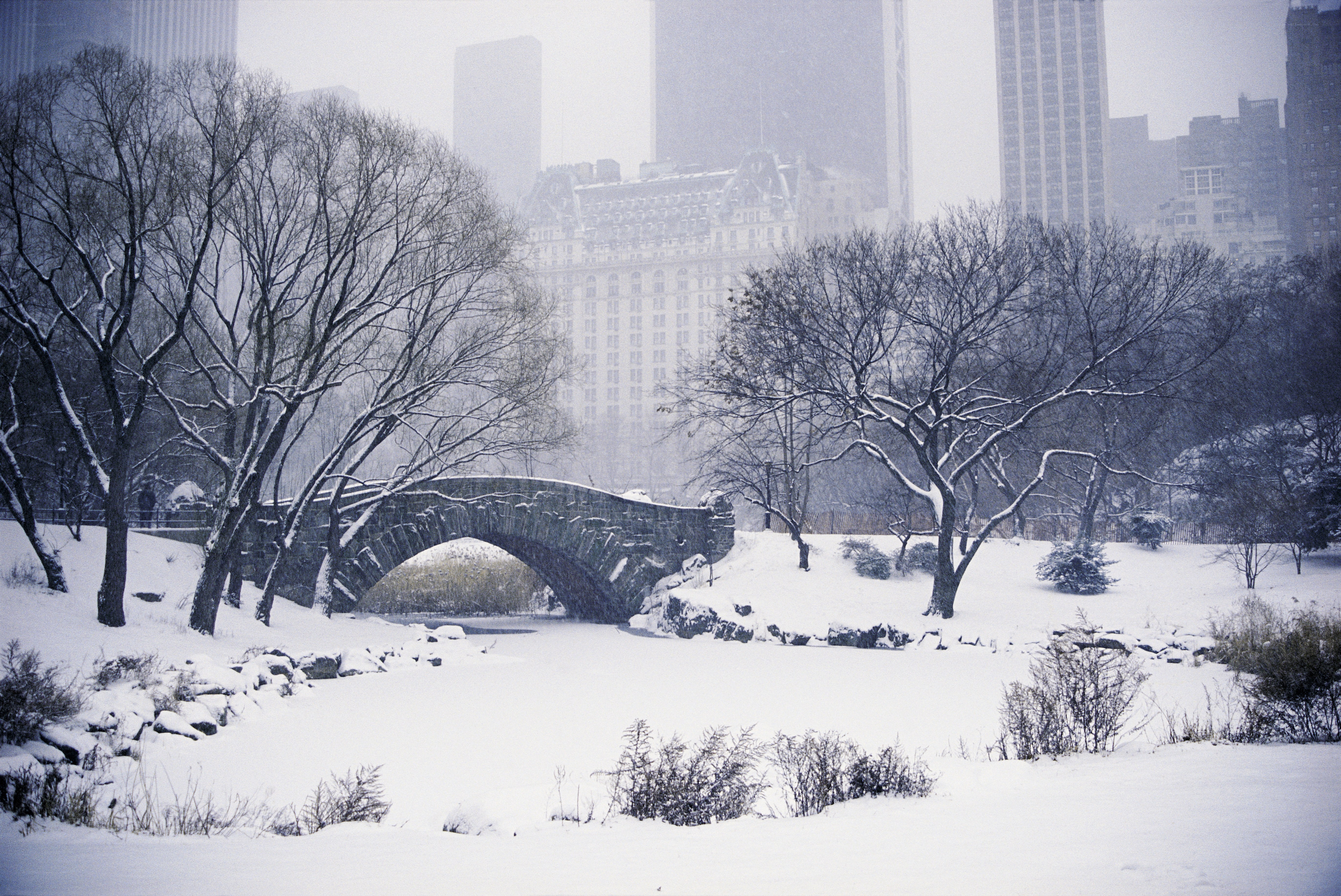Snowy park bridge in city