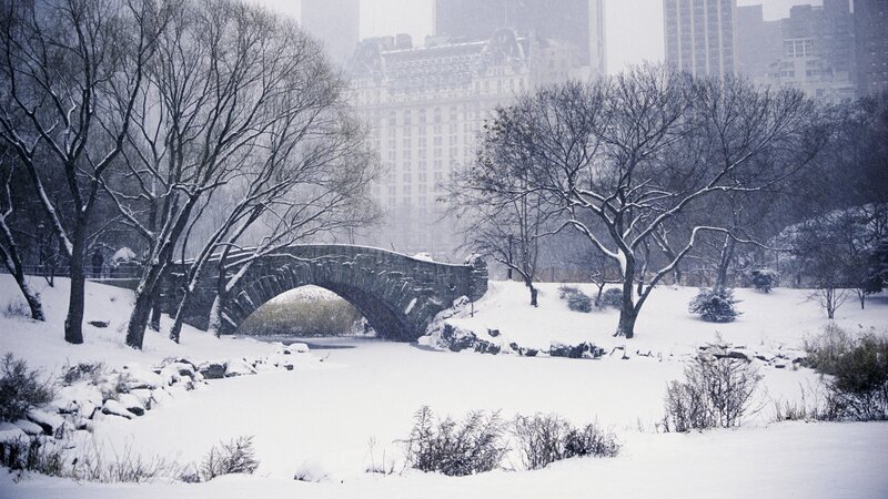 Snowy park bridge in winter