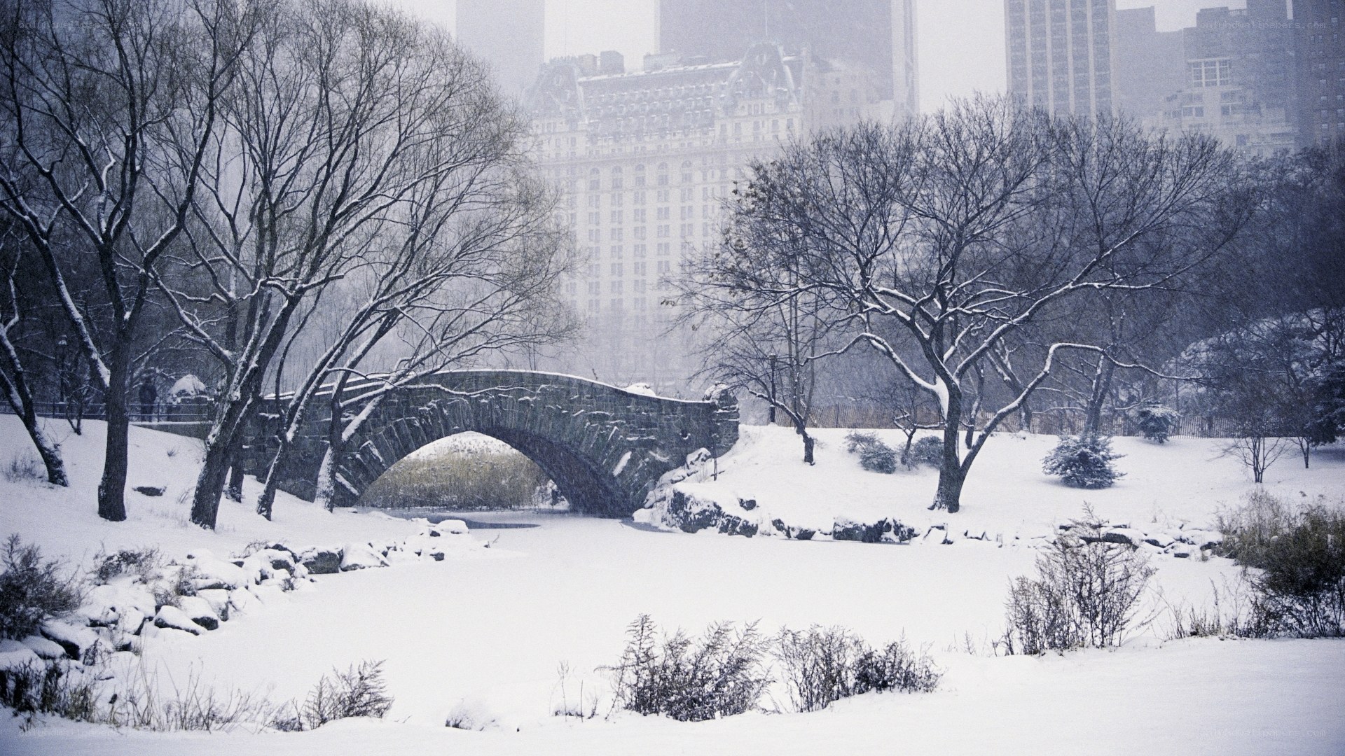 Snowy park bridge in winter