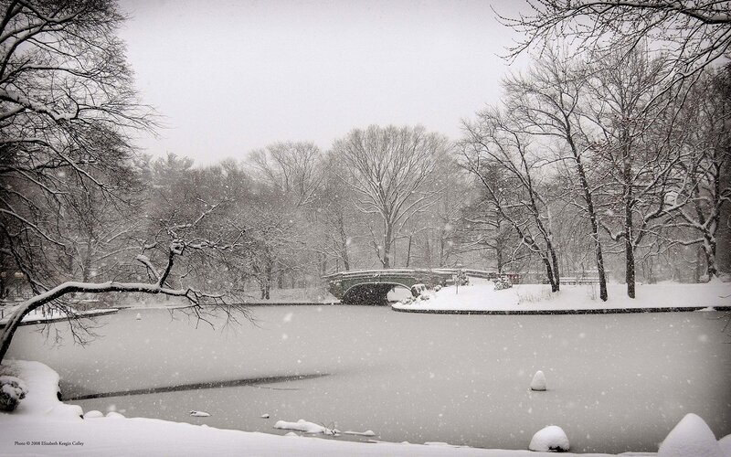 Snowy Park Bridge Scene