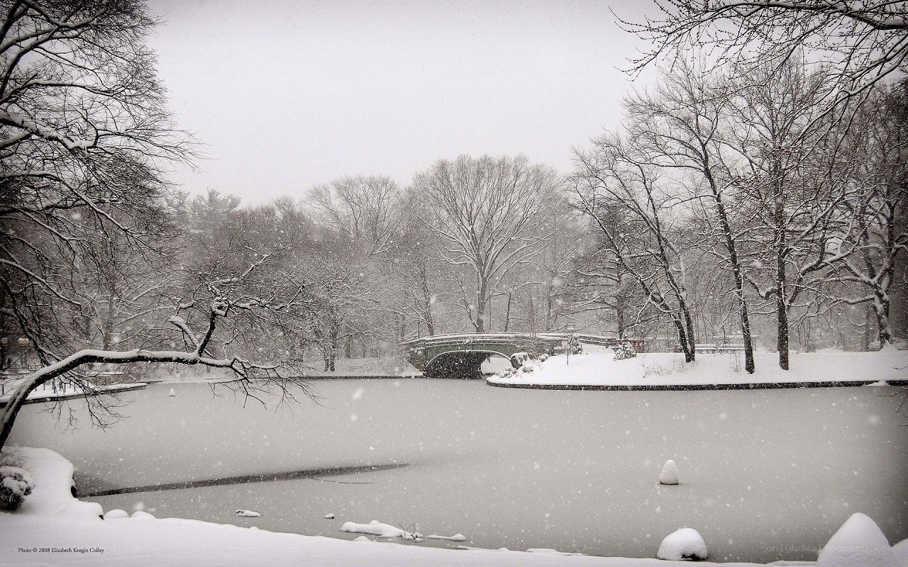 Snowy Park Bridge Scene