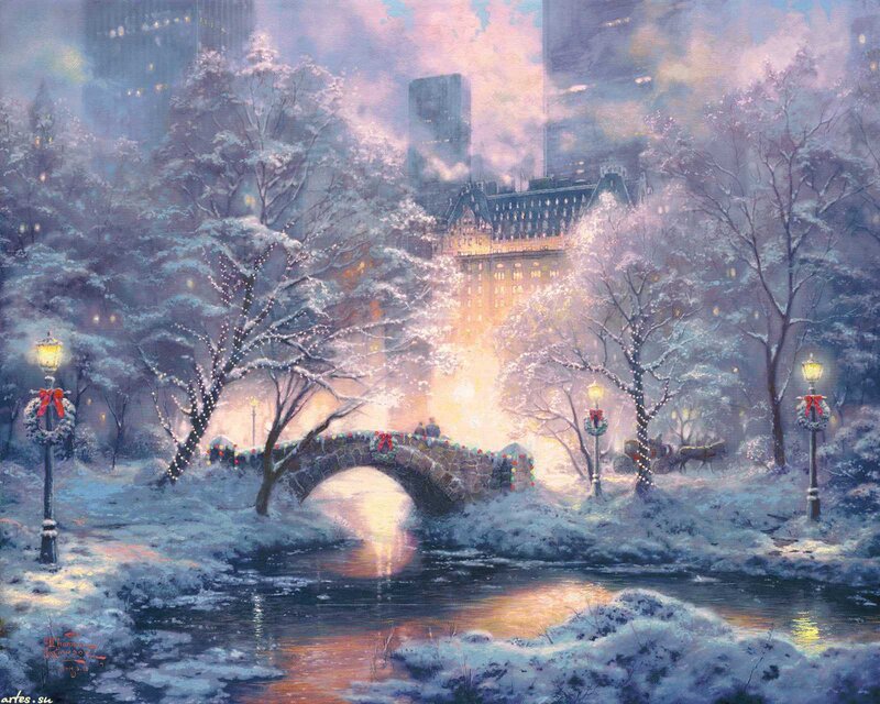Snowy Park Bridge