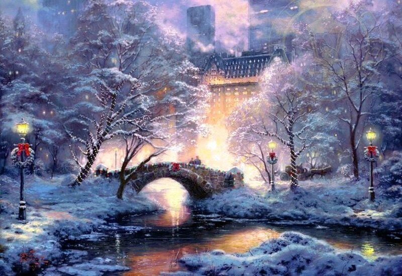 Snowy Park Bridge — White