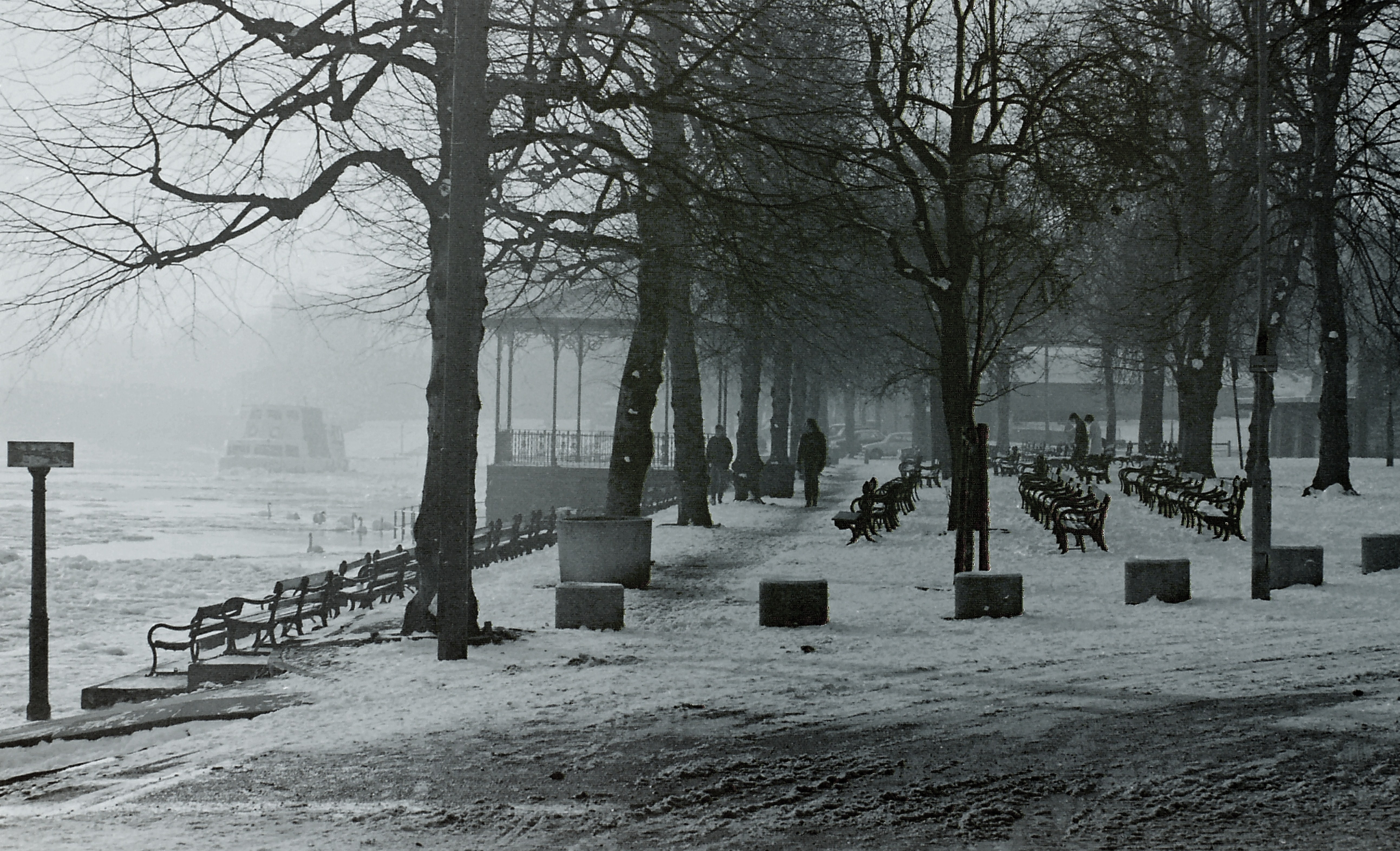 Snowy park by the river