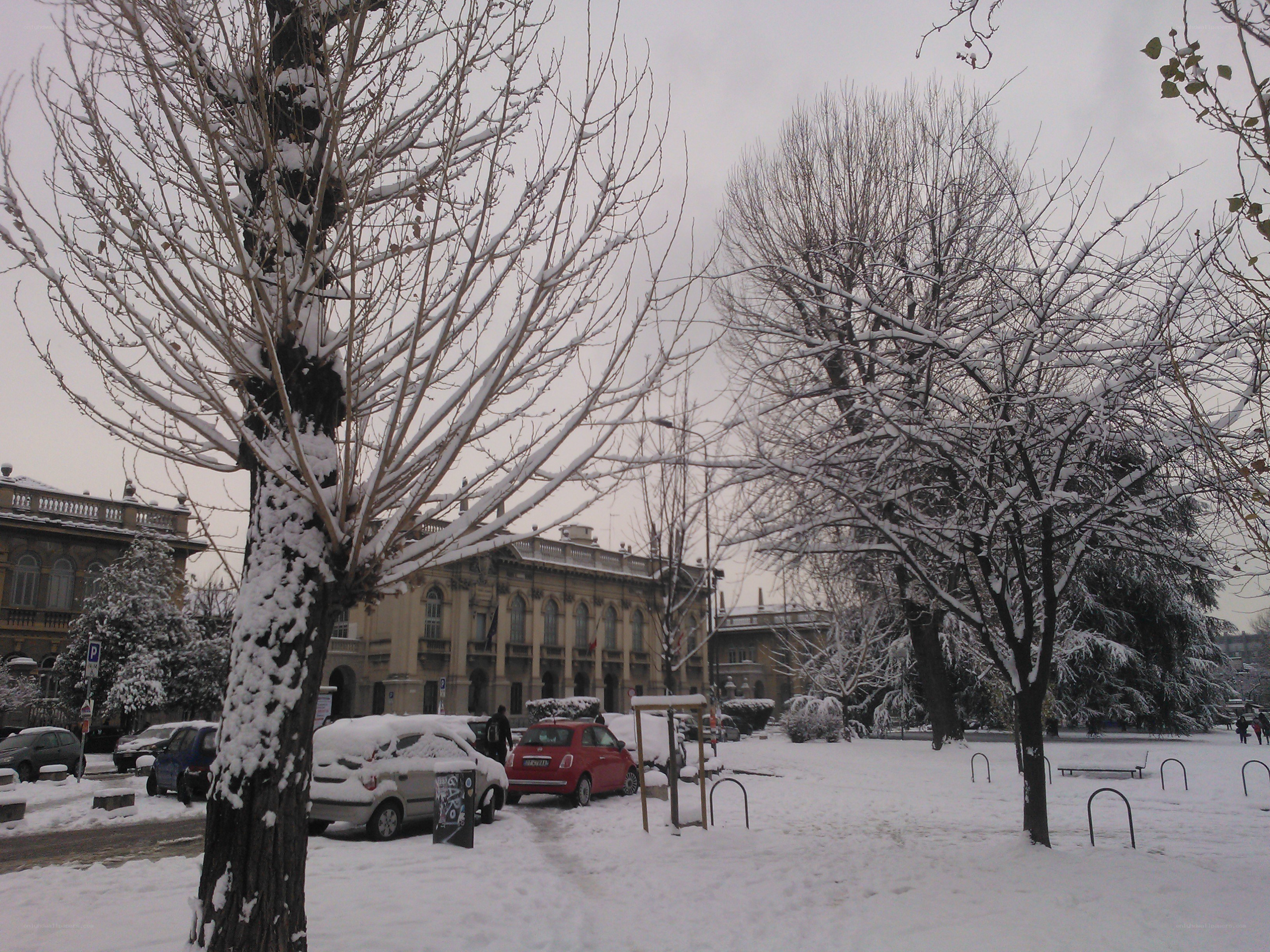 Snowy park in winter