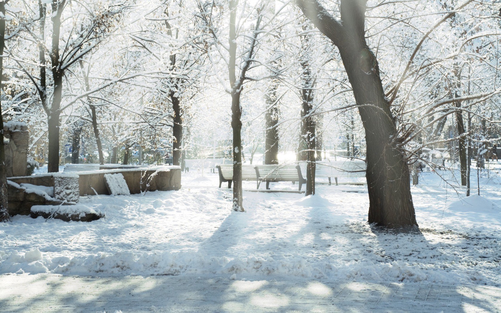 Snowy park in winter