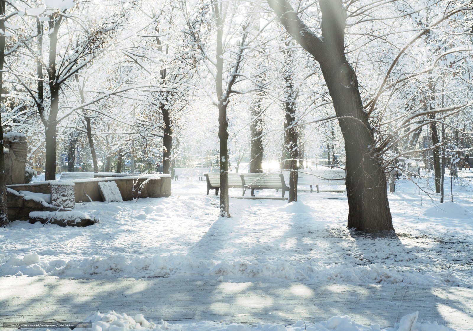 Snowy park in winter