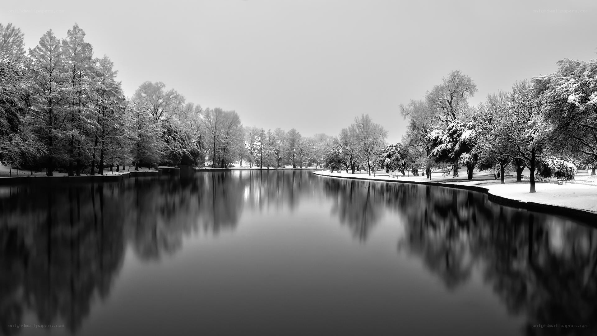 Snowy park lake reflection