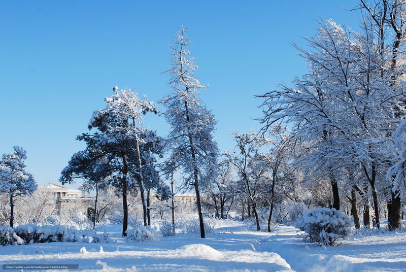 Snowy park on a clear day
