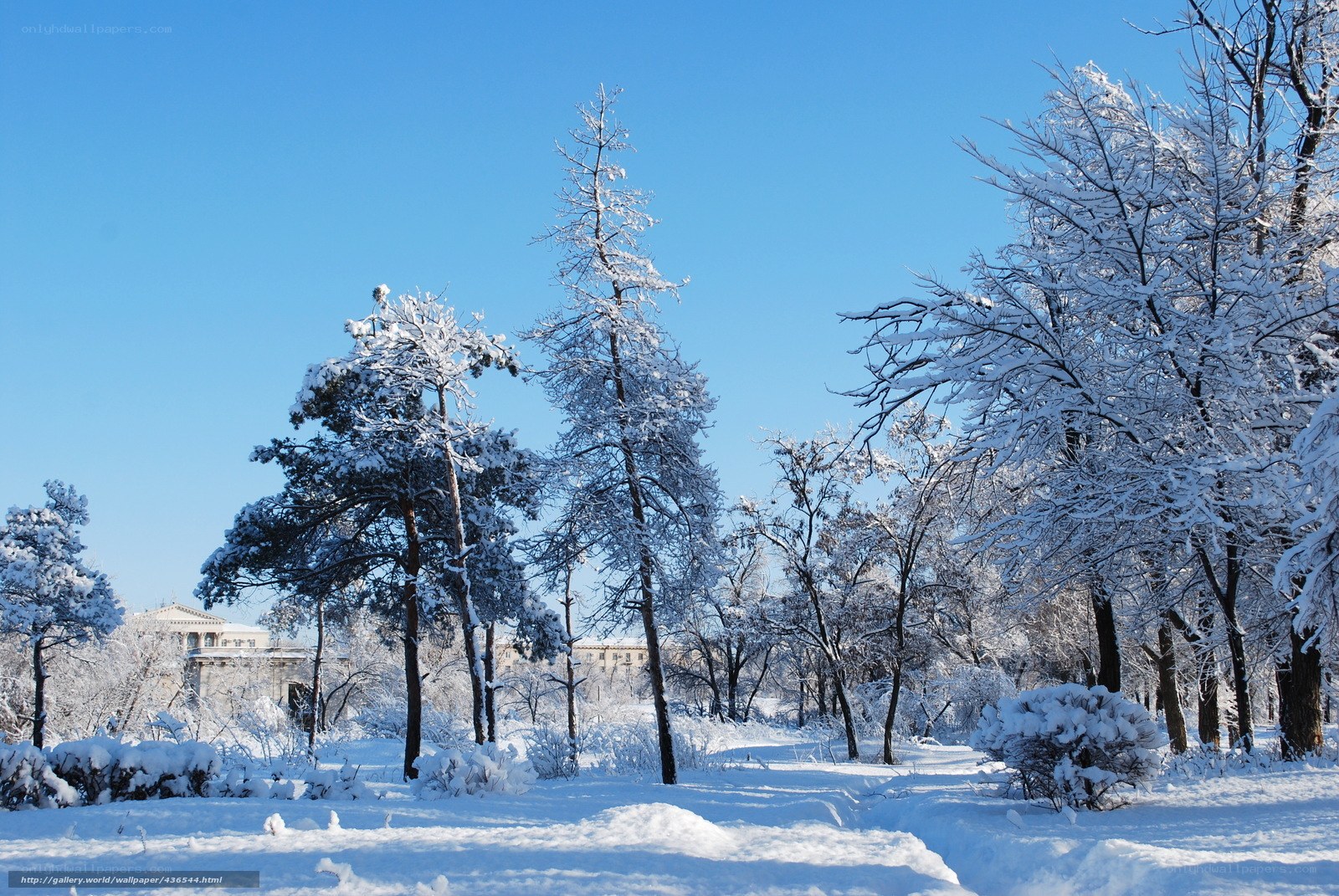 Snowy park on a clear day