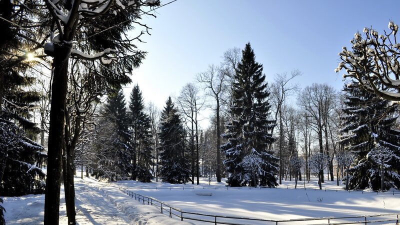 Snowy park on a sunny day