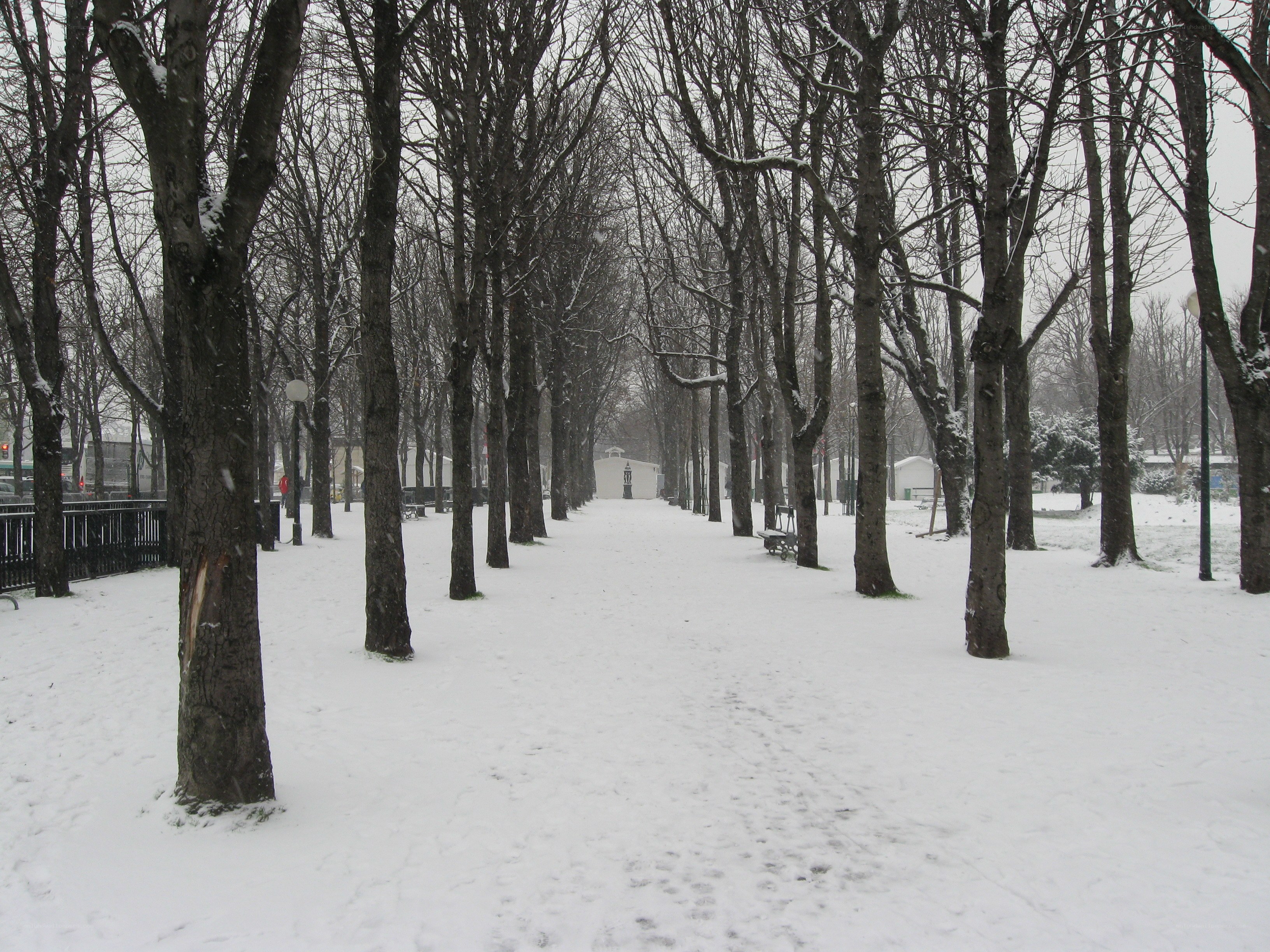 Snowy park path