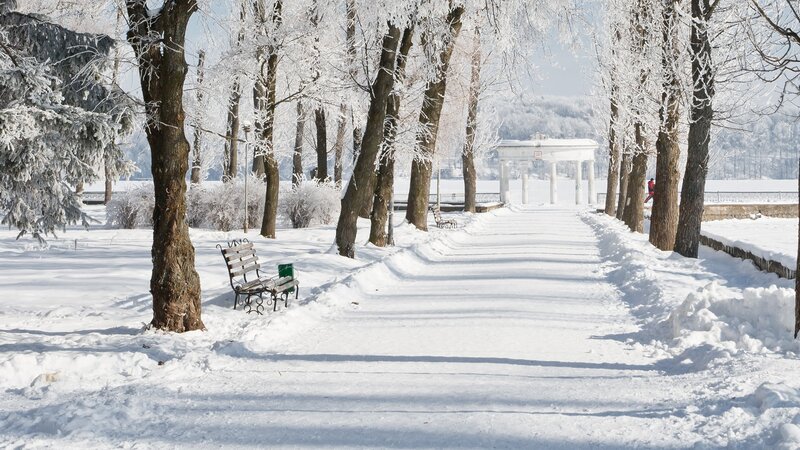 Snowy park path