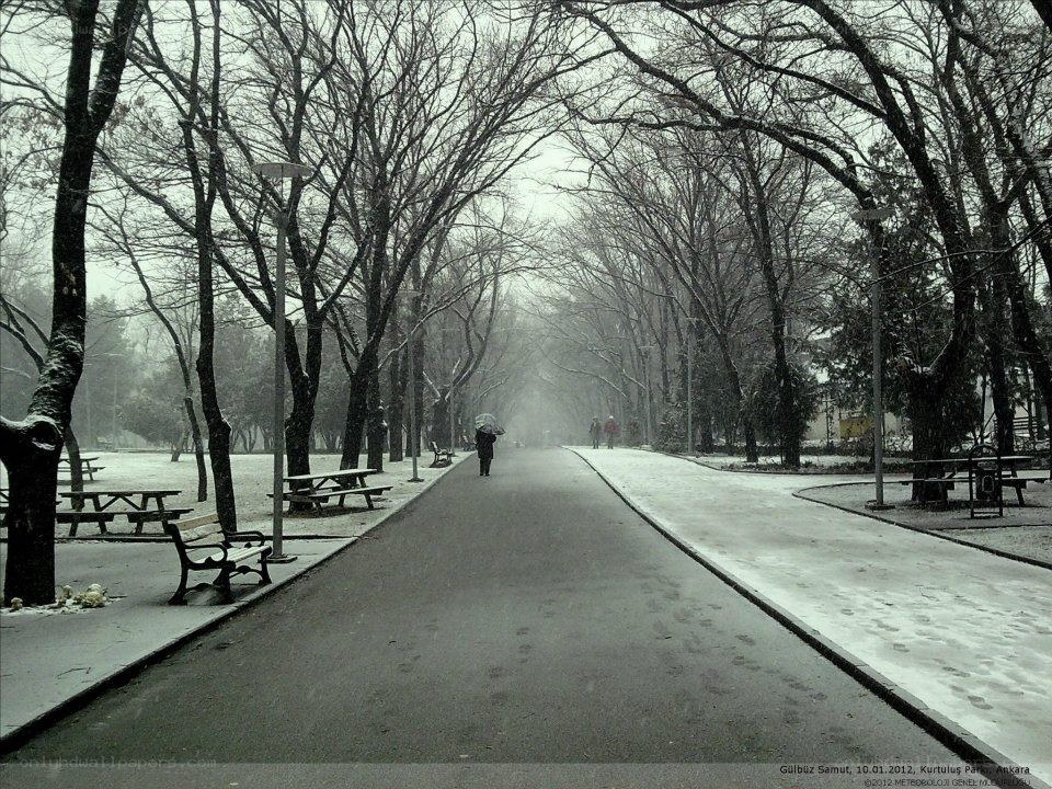 Snowy park path