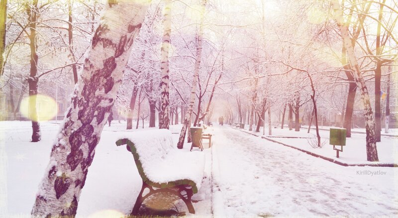 Snowy park path