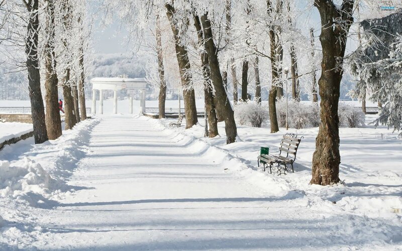 Snowy park path