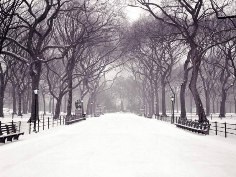 Snowy park path