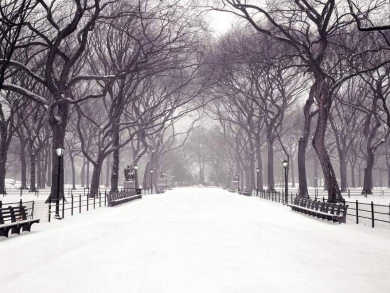 Snowy park path