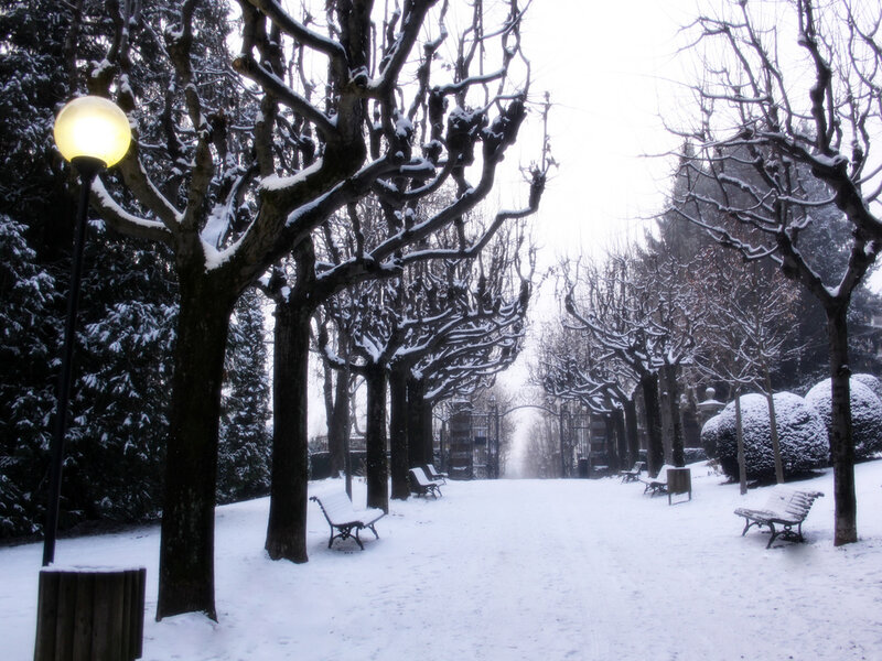 Snowy park path
