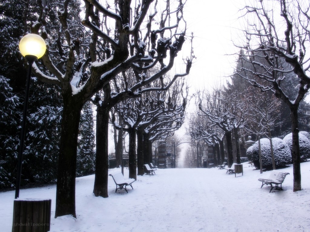 Snowy park path
