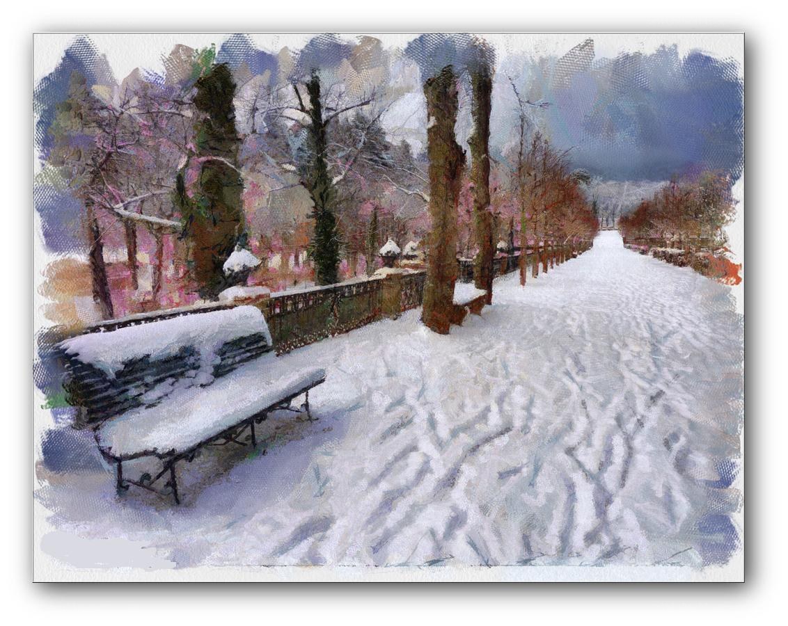 Snowy Park Path