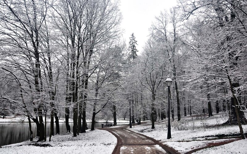 Snowy park path