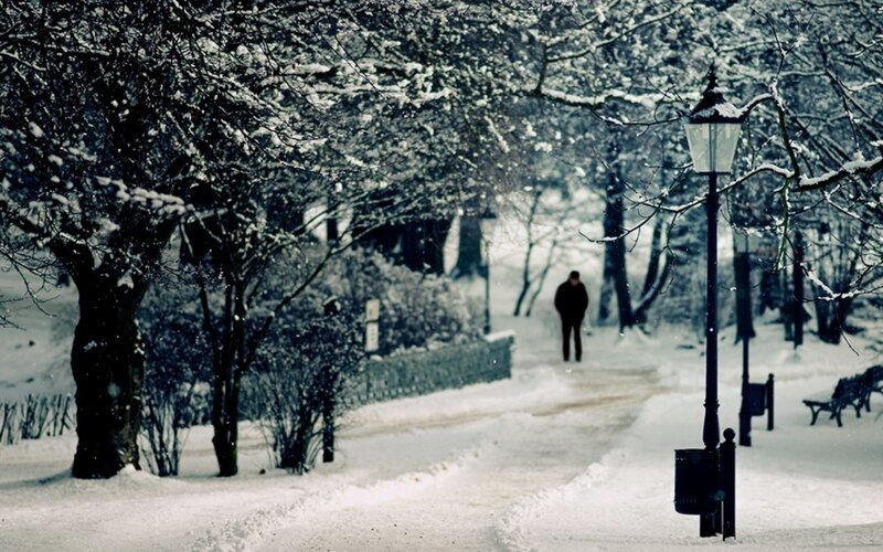 Snowy park path