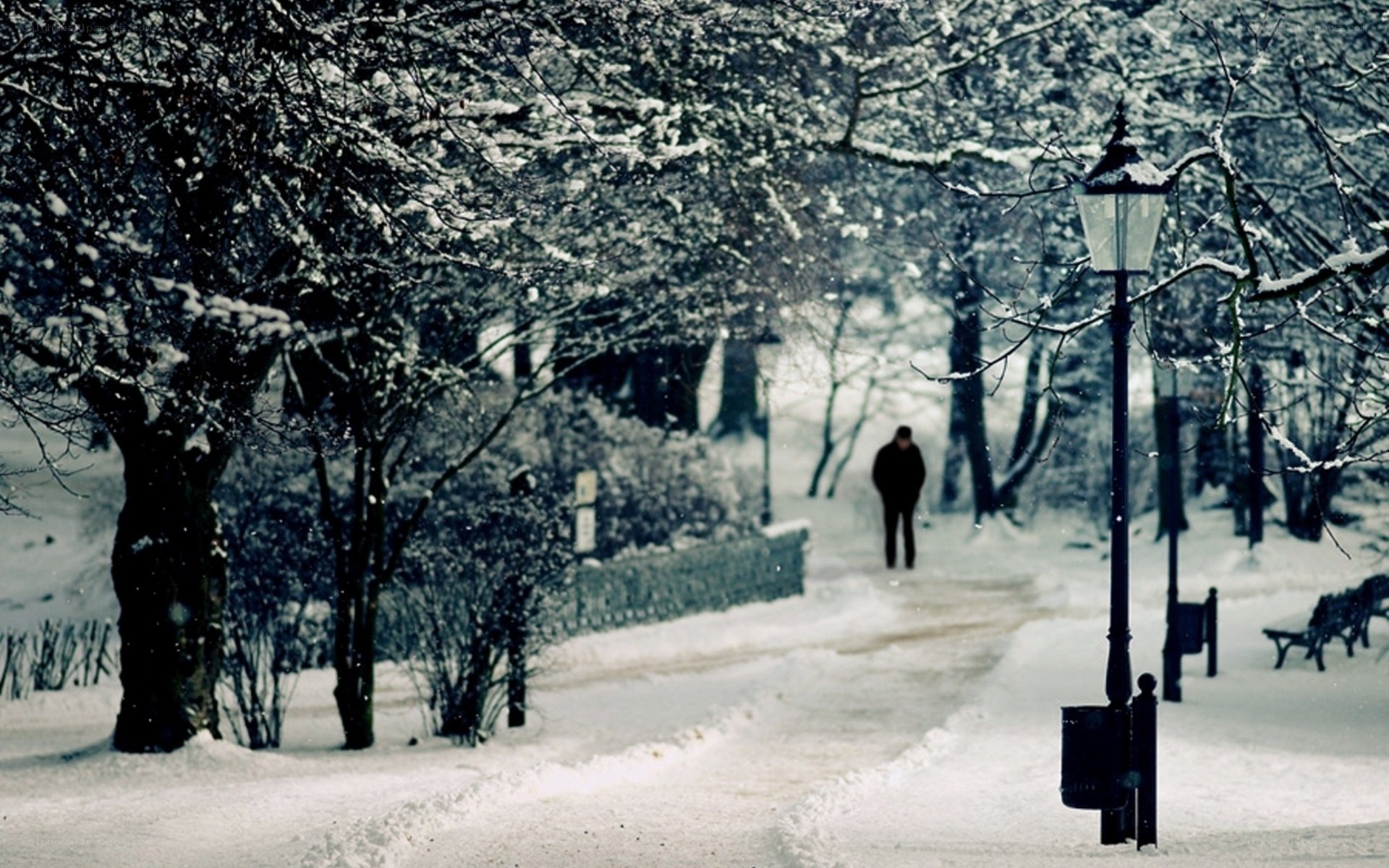Snowy park path