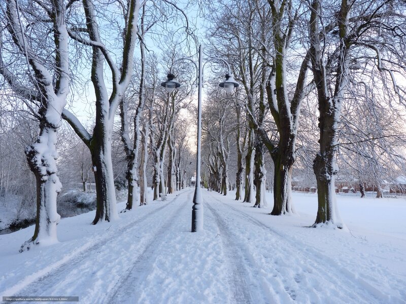 Snowy park path