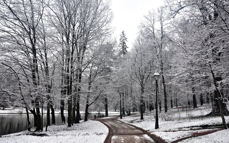 Snowy park path