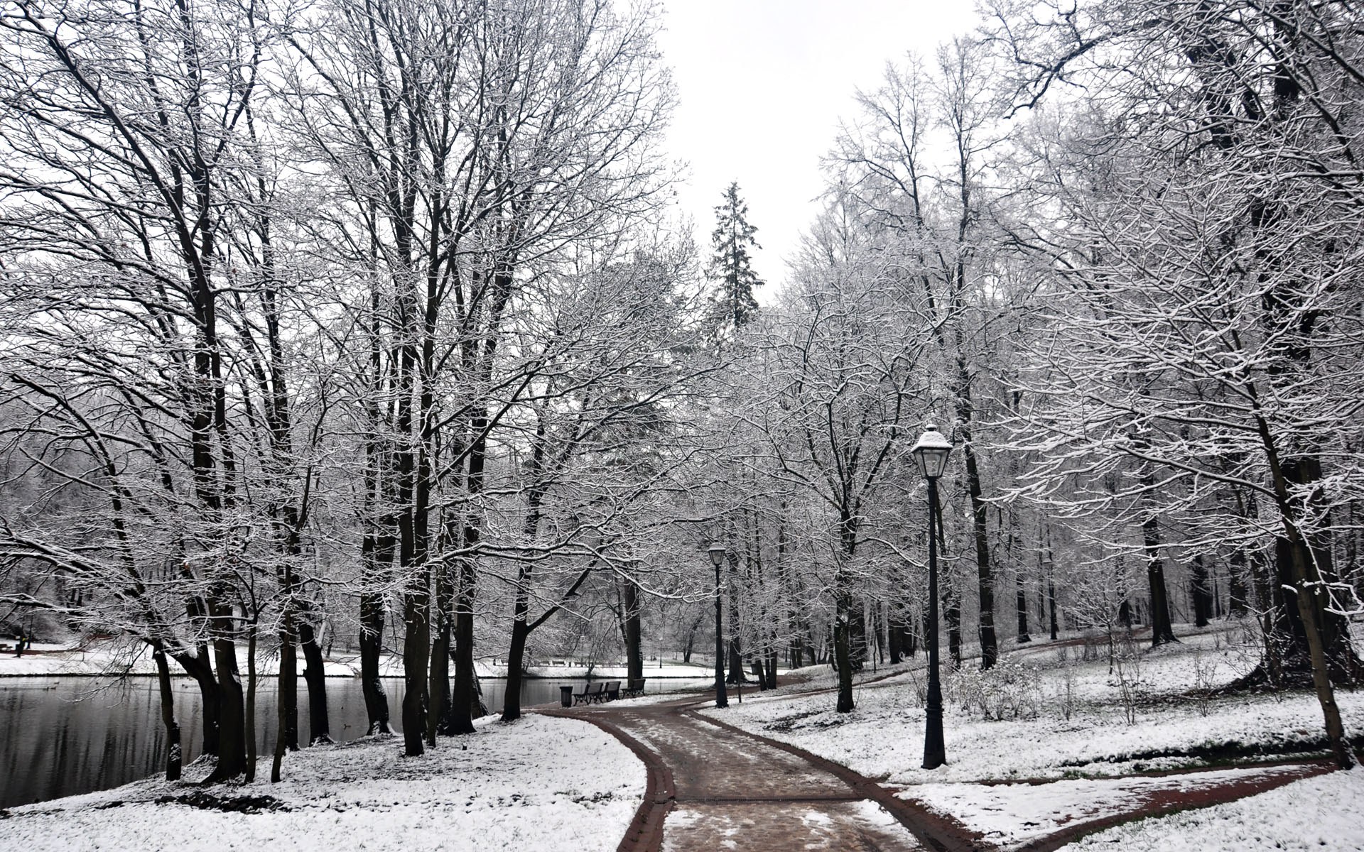 Snowy park path