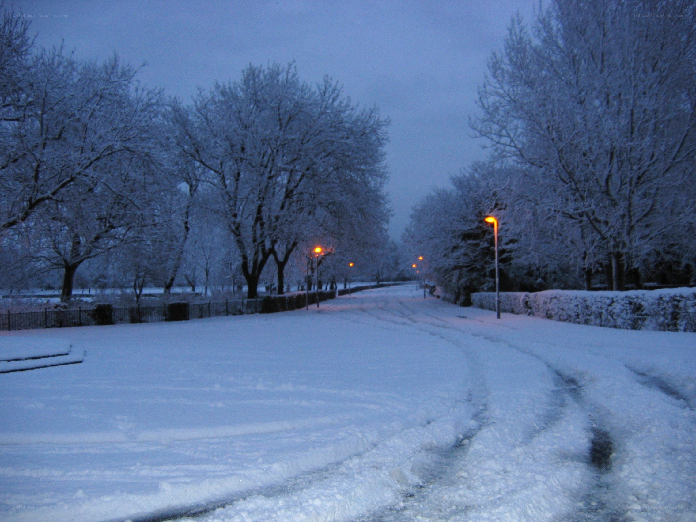 Snowy park path at dusk