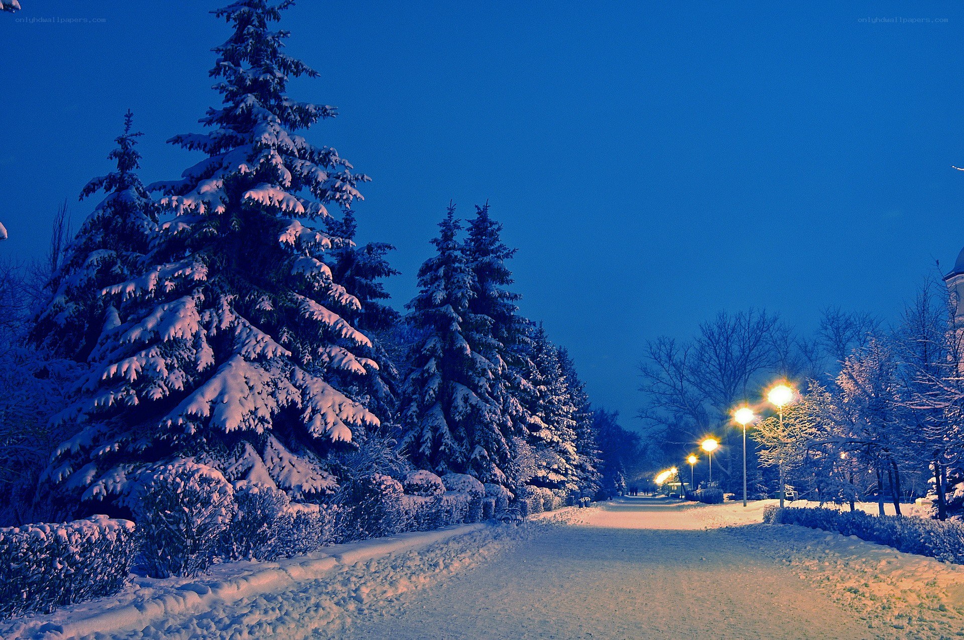 Snowy park path at night