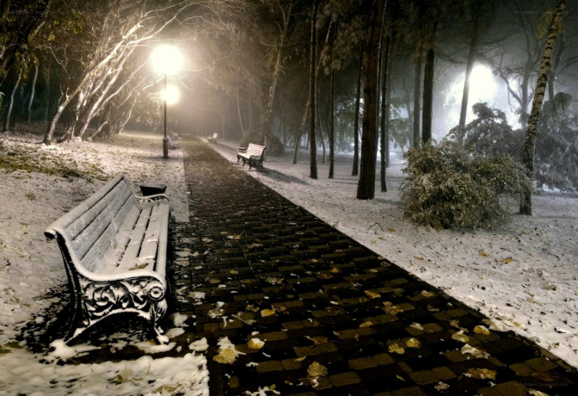 Snowy park path at night