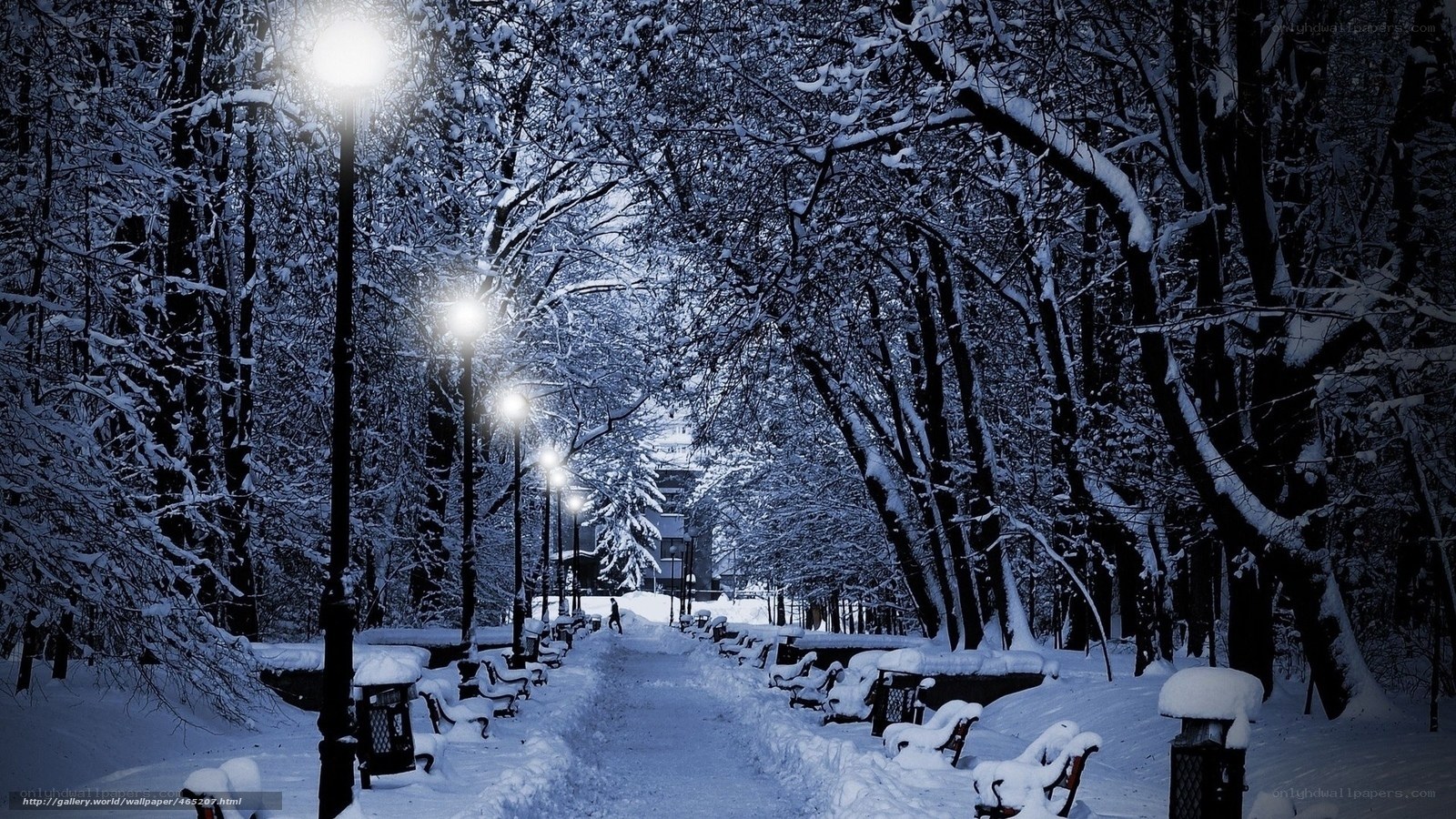 Snowy Park Path at Night