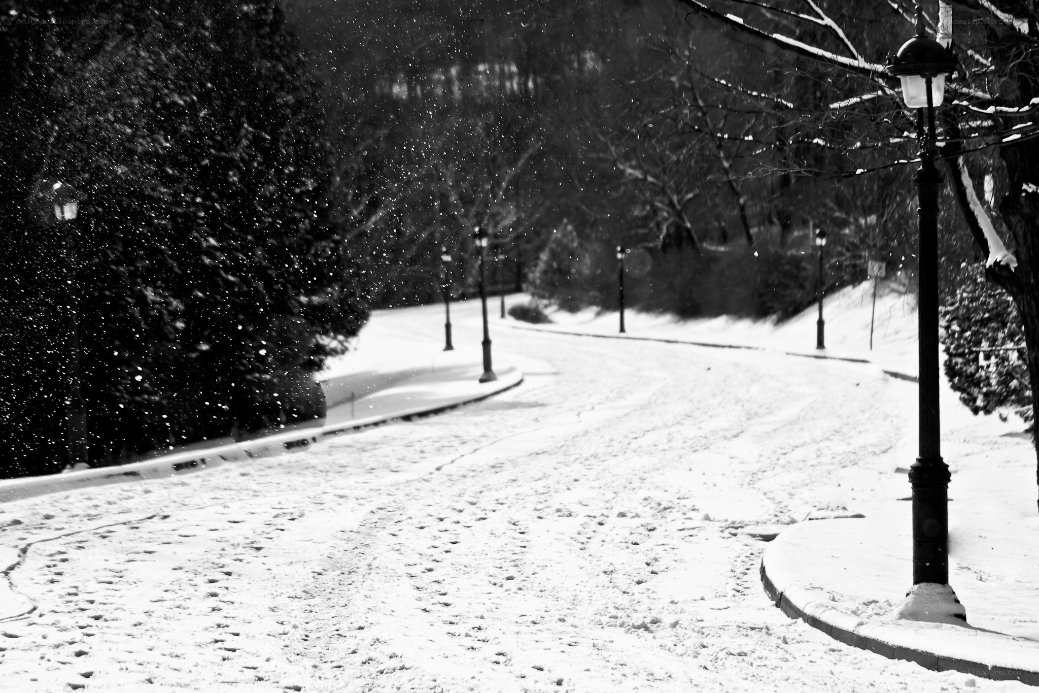 Snowy park path at night