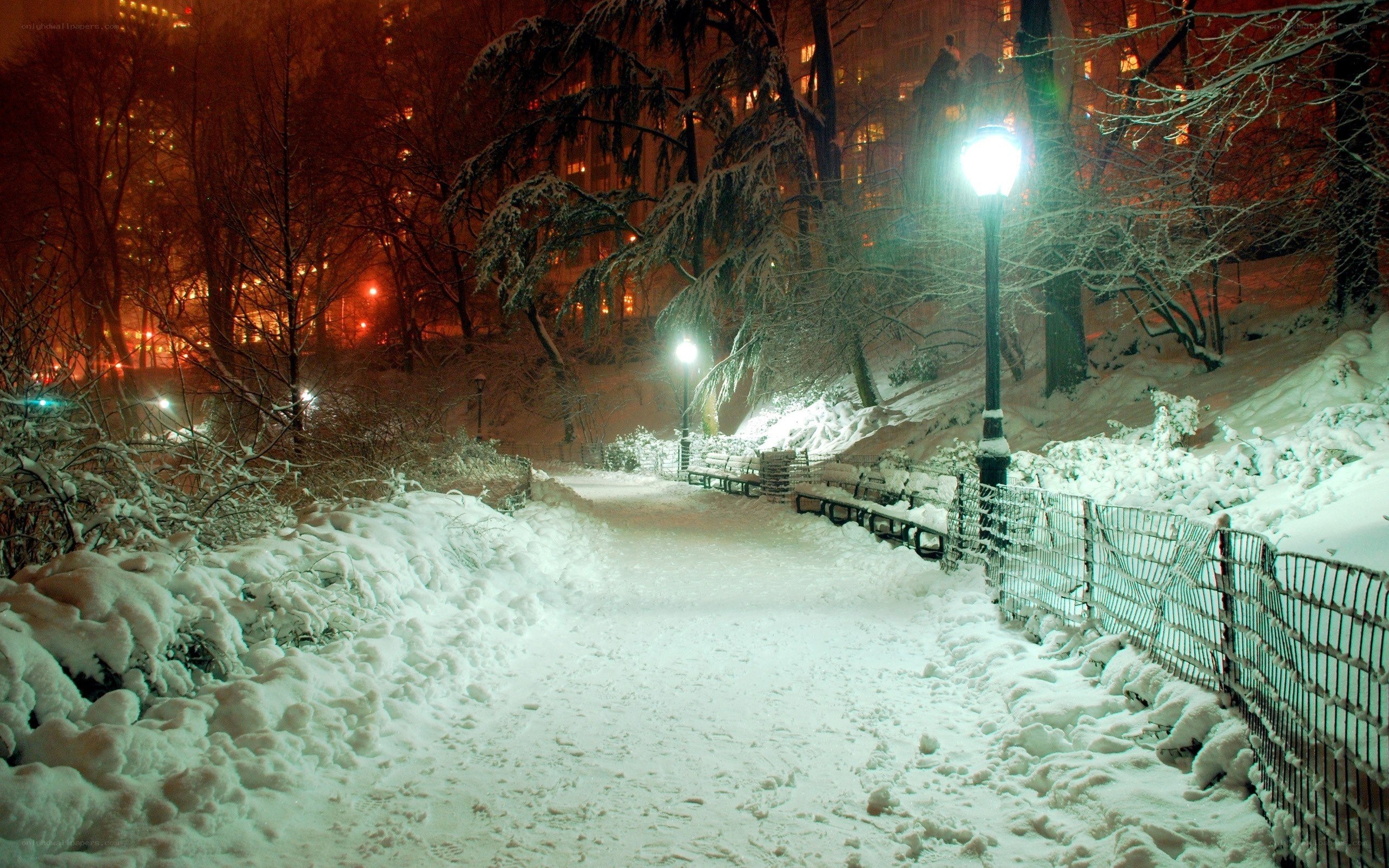 Snowy park path at night