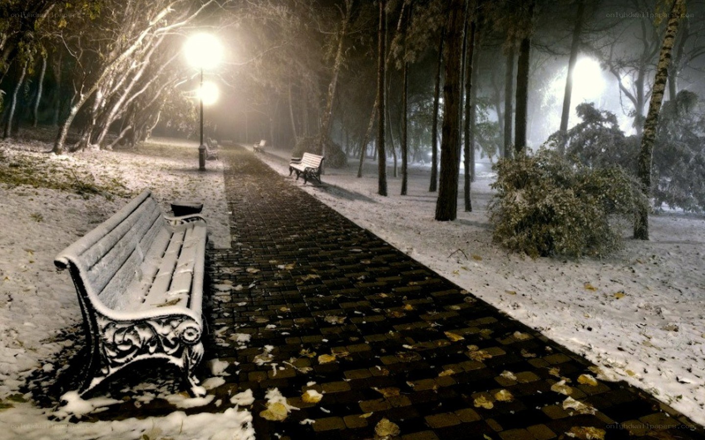 Snowy park path at night