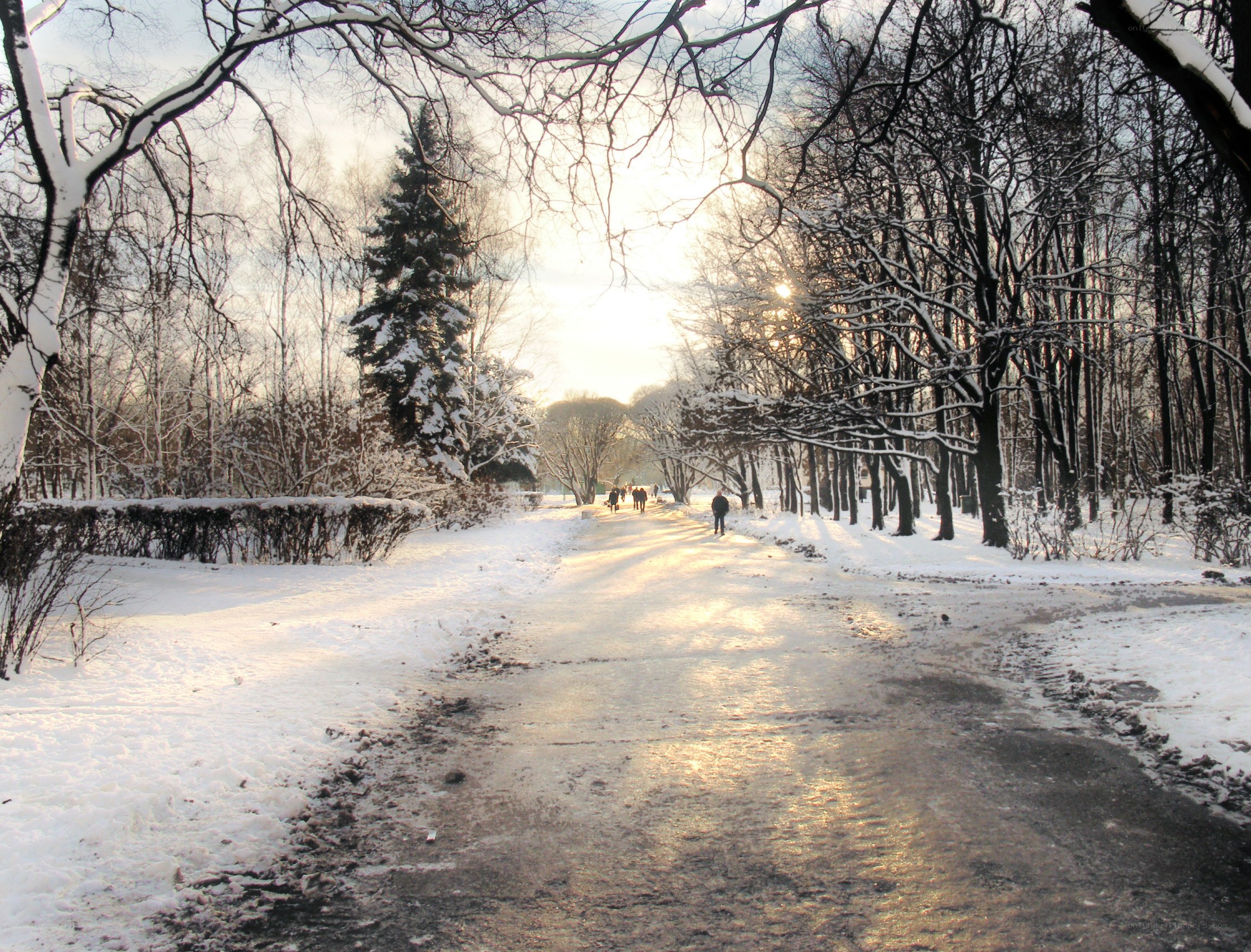 Snowy park path at sunset