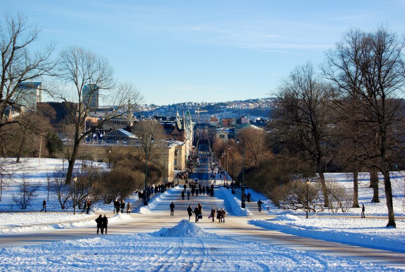 Snowy park path in Oslo