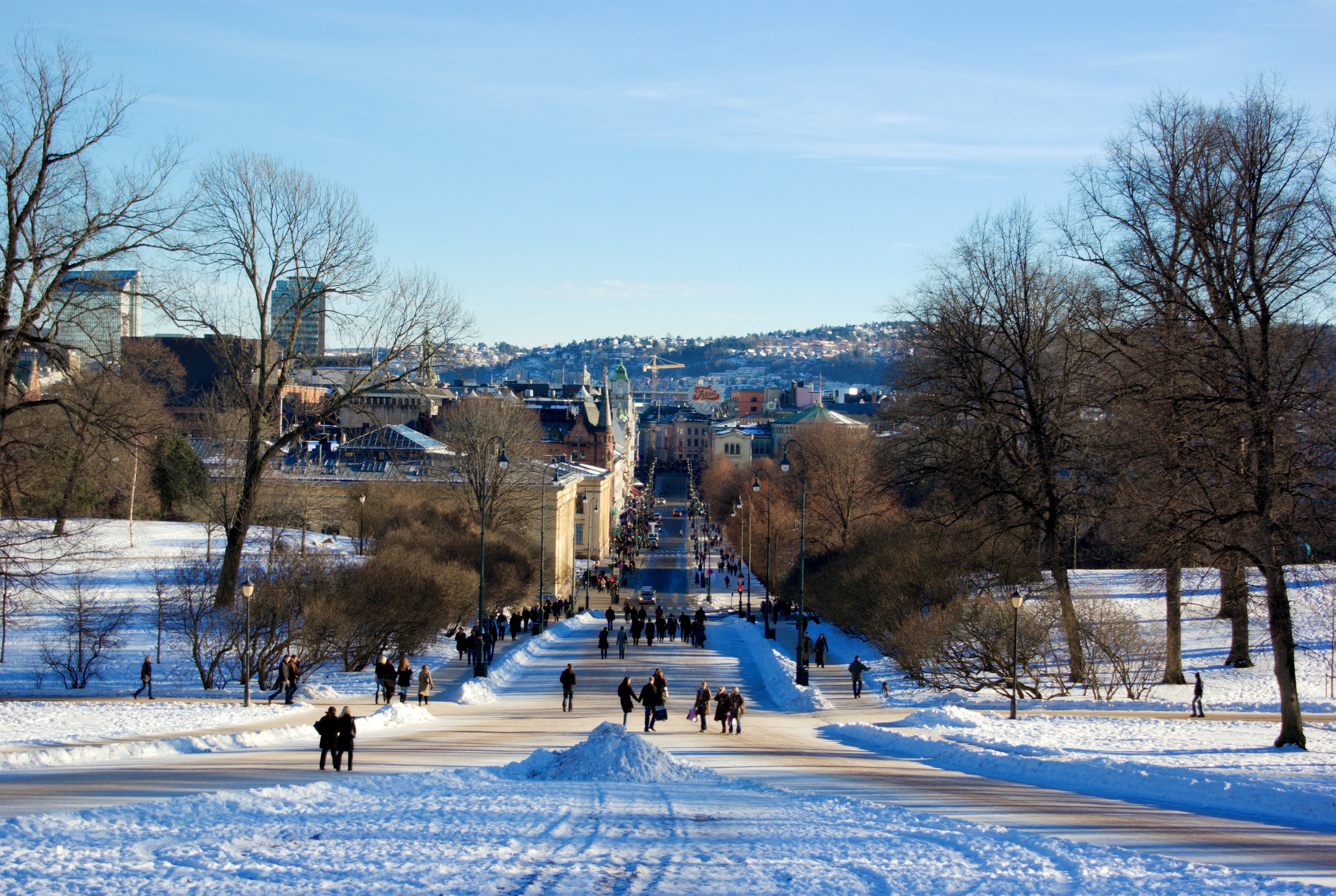 Snowy park path in Oslo
