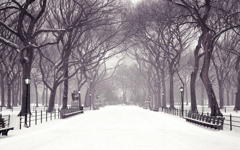 Snowy park path in winter